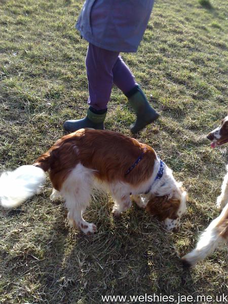 2010-02-20 03.jpg - Here's my new harness